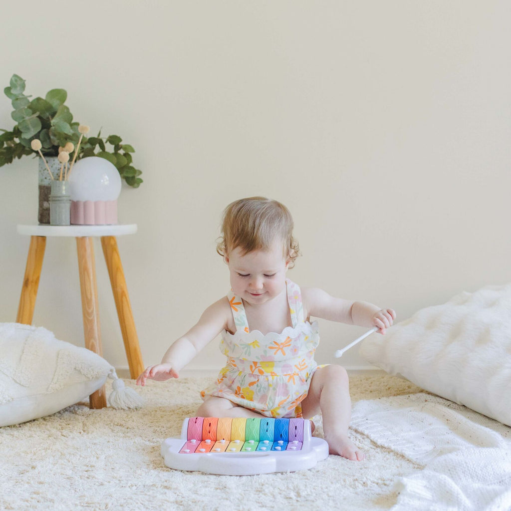 Rainbow Roller Xylophone