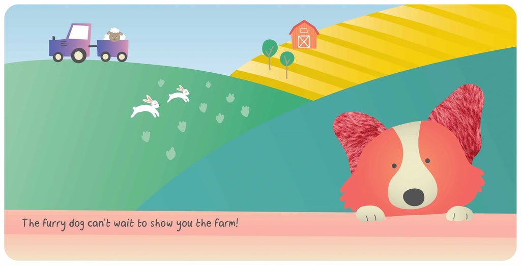 Farm Animals - Touch & Feel - Board Book