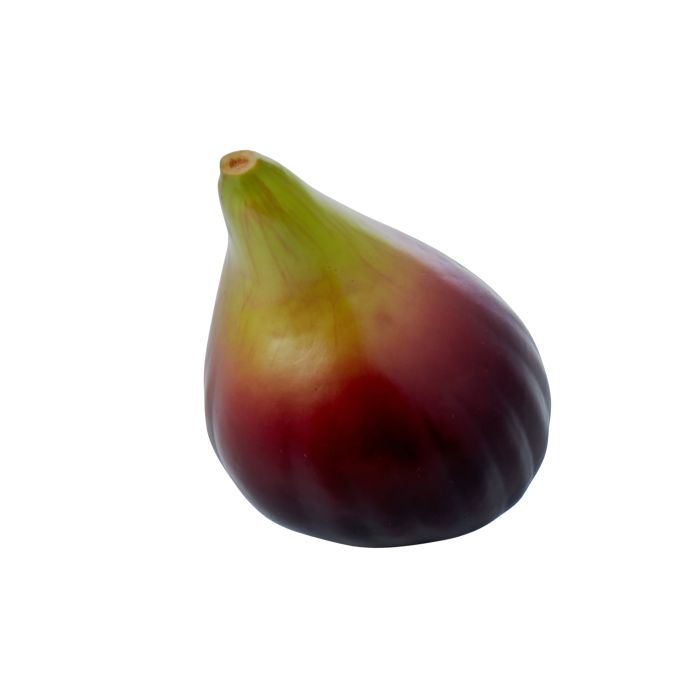 Fig