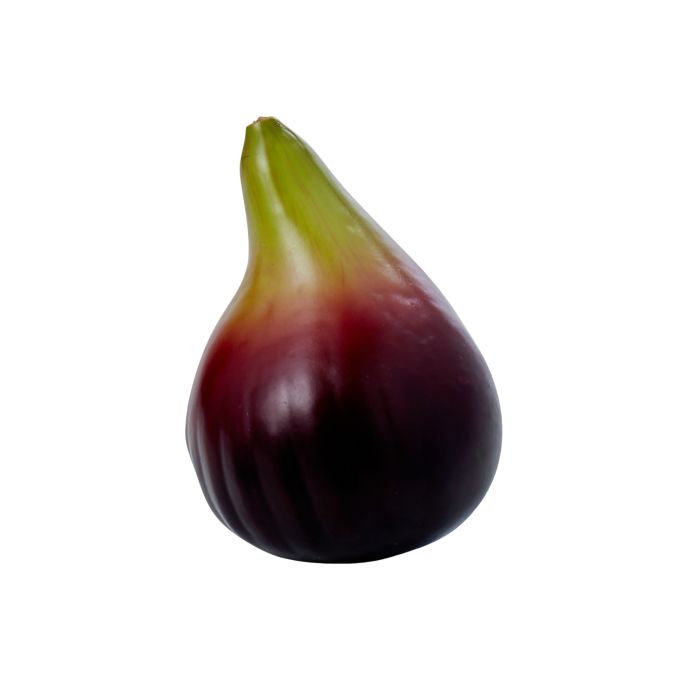 Fig
