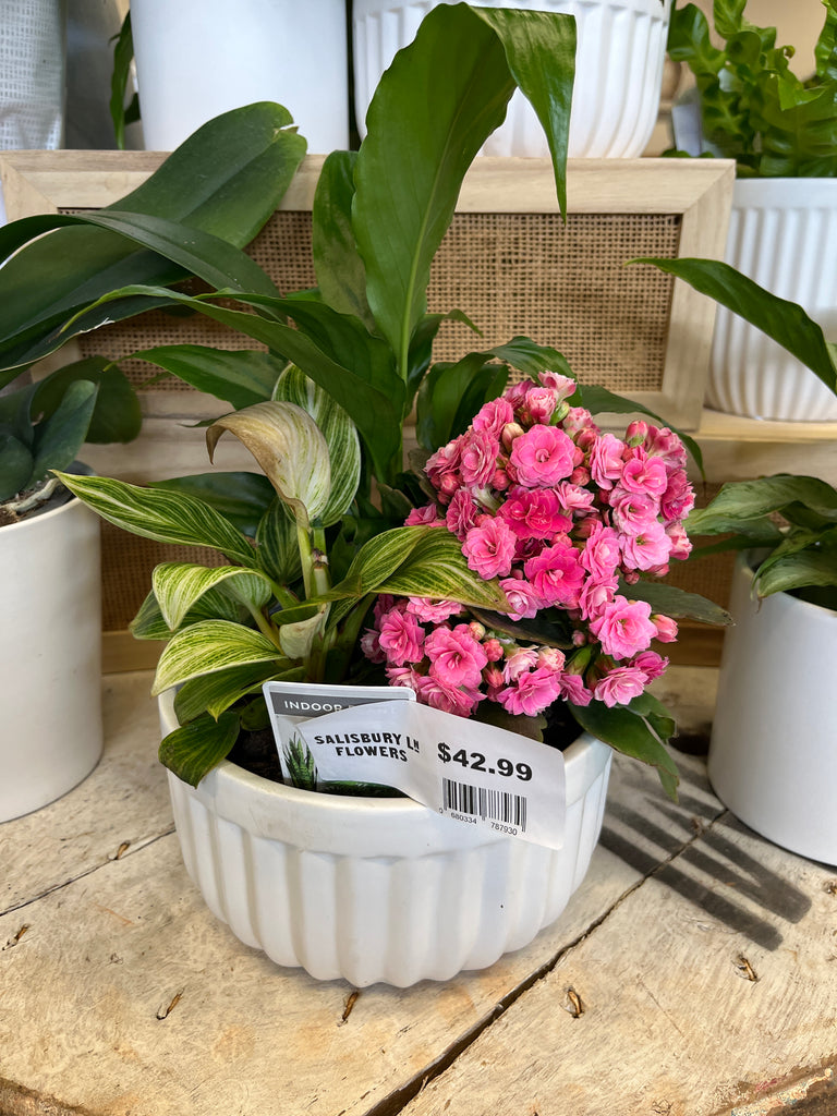 Trio in Pot