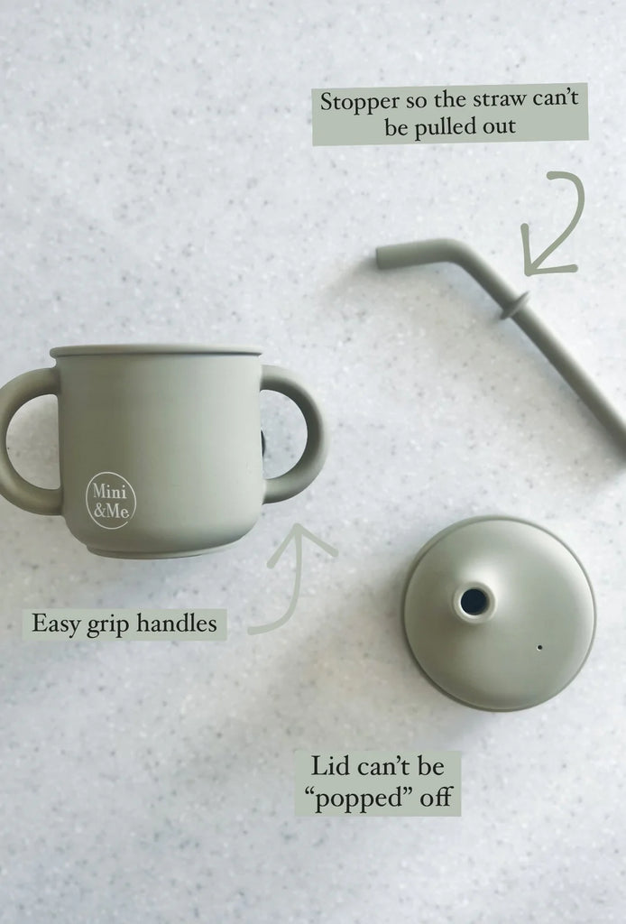Transitional Straw Sippy Cup - Blueberry