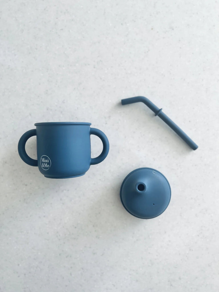 Transitional Straw Sippy Cup - Blueberry