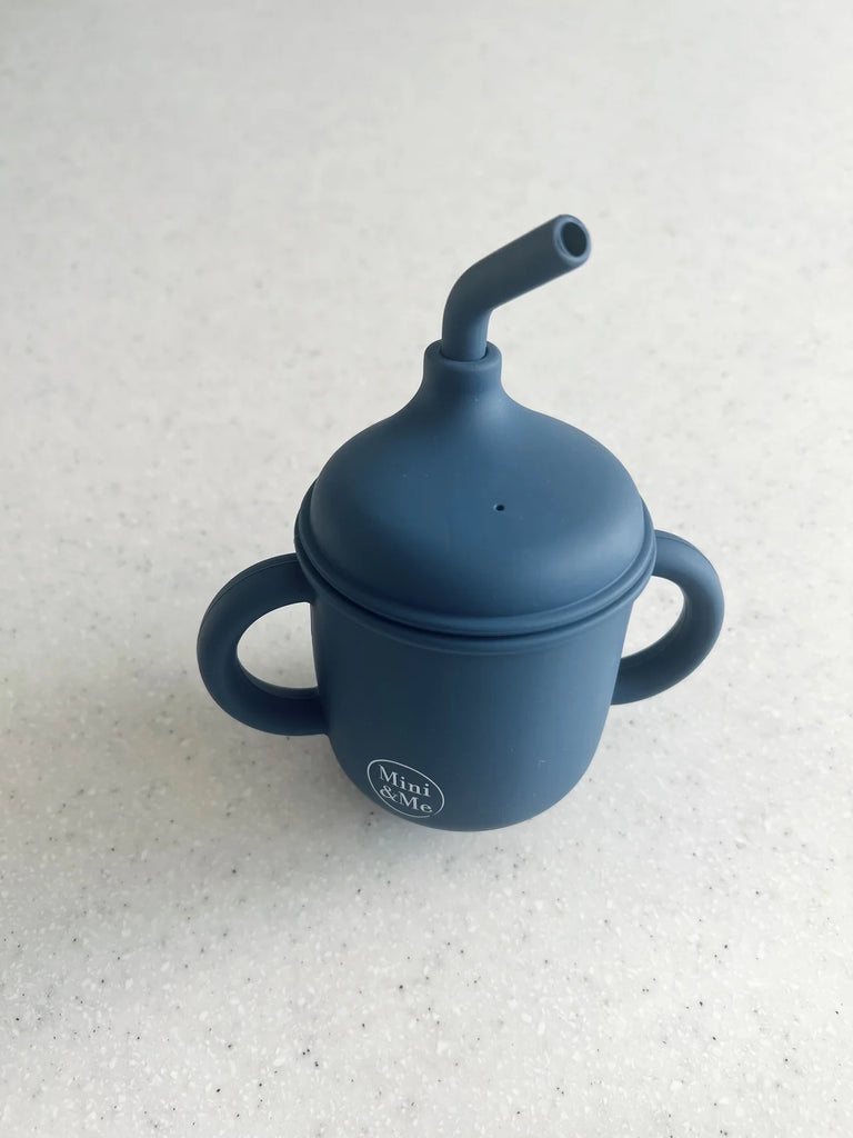 Transitional Straw Sippy Cup - Blueberry