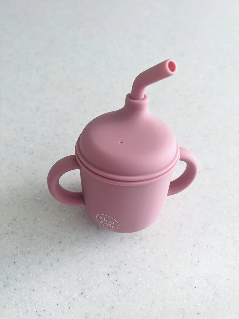 Transitional Straw Sippy Cup - Guava
