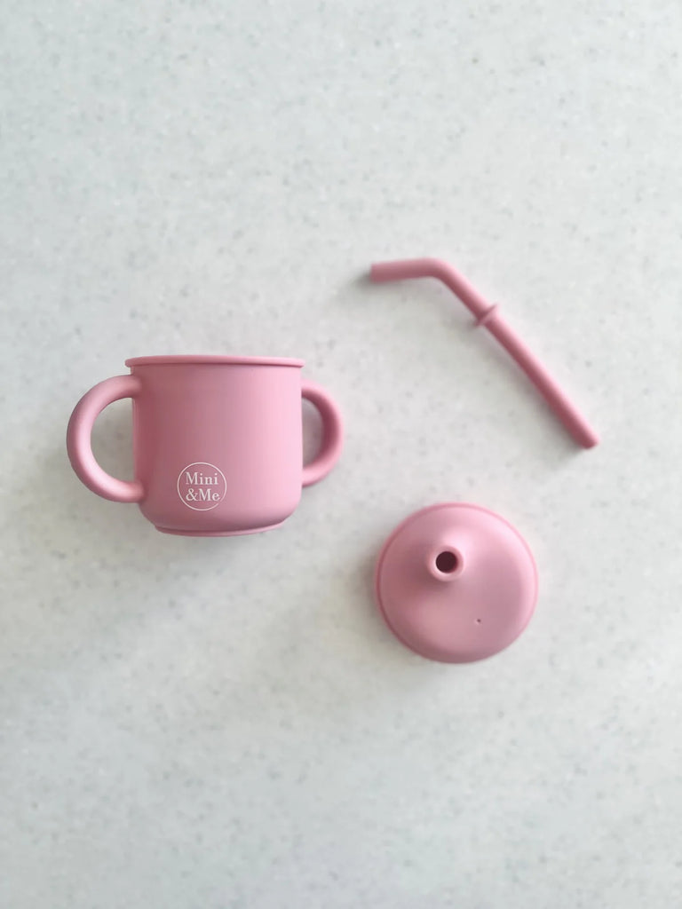 Transitional Straw Sippy Cup - Guava