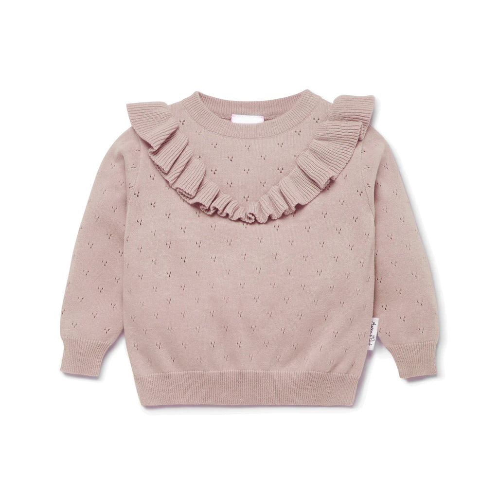 Wild Rose Pointelle Ruffle Knit Jumper