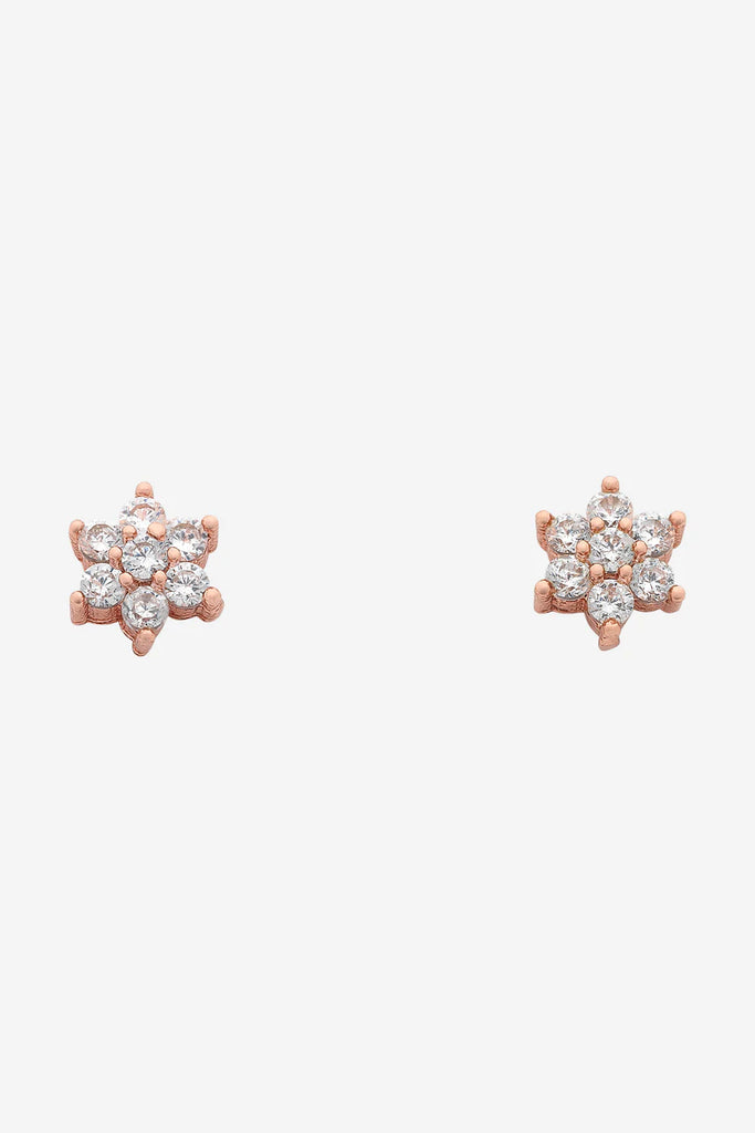 Petal Earrings - Rose Gold