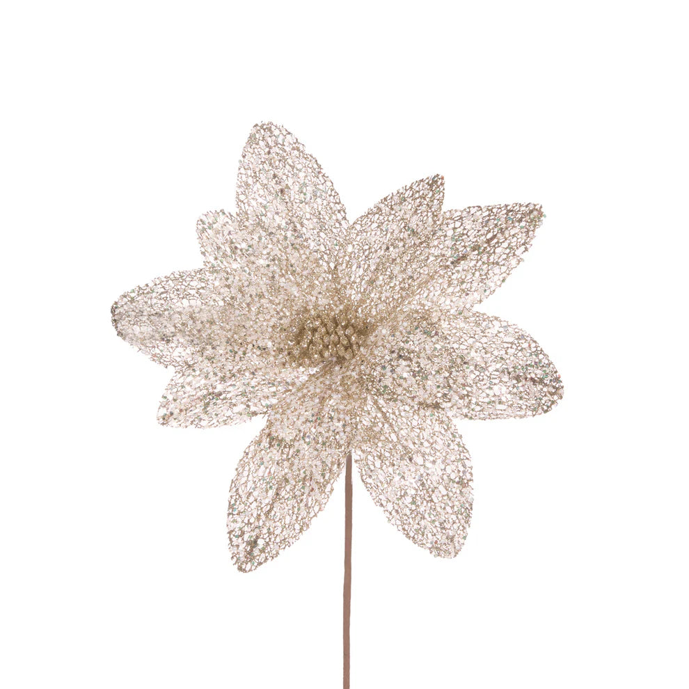 Sheer Champagne Glittered Poinsettia