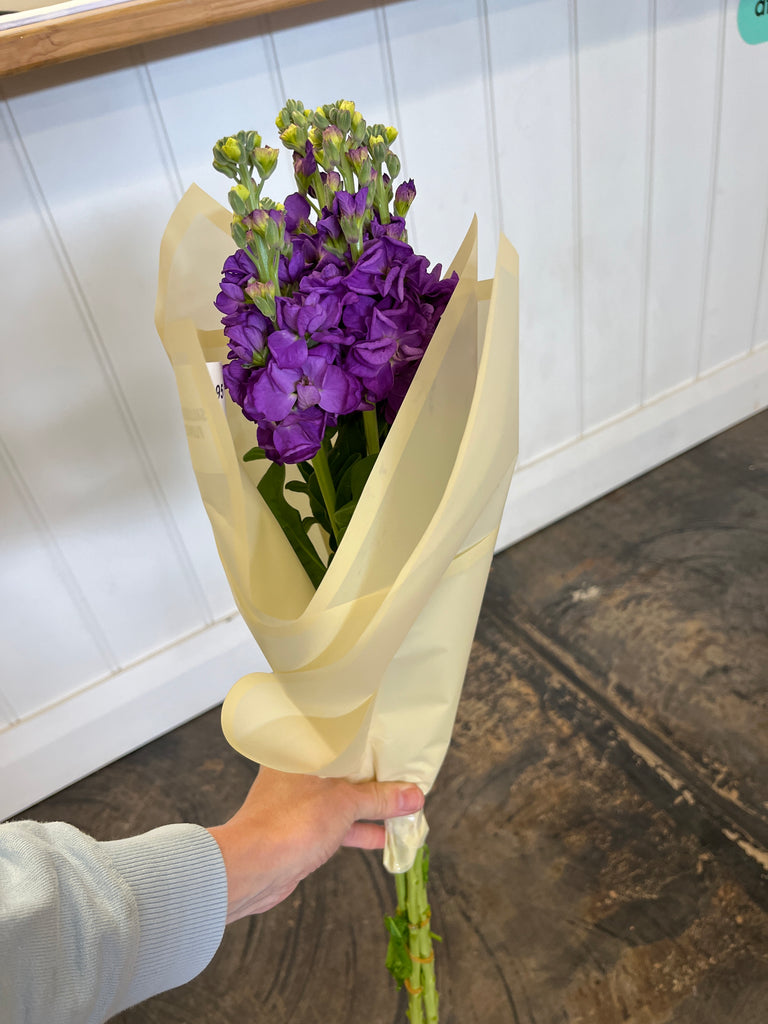 Snapdragon Bunch - Violet