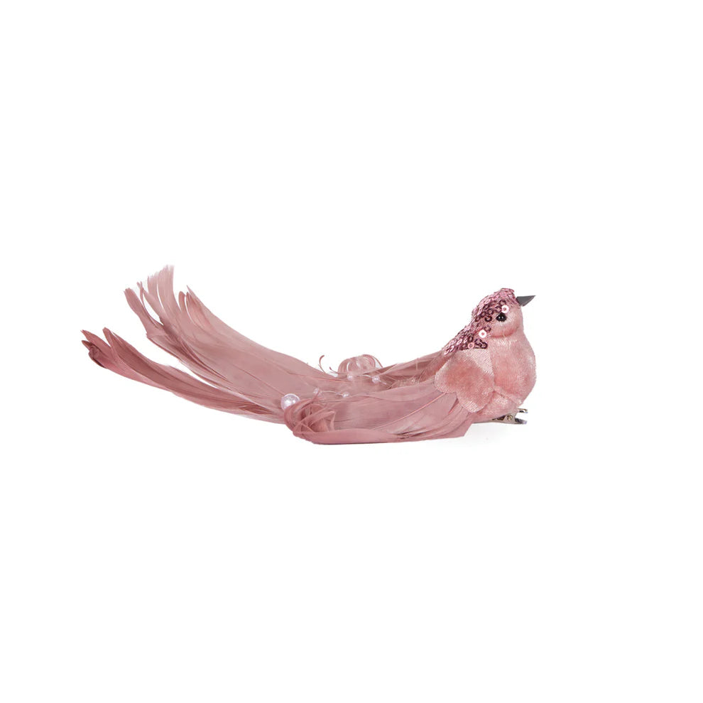 Pink Adorned Bird