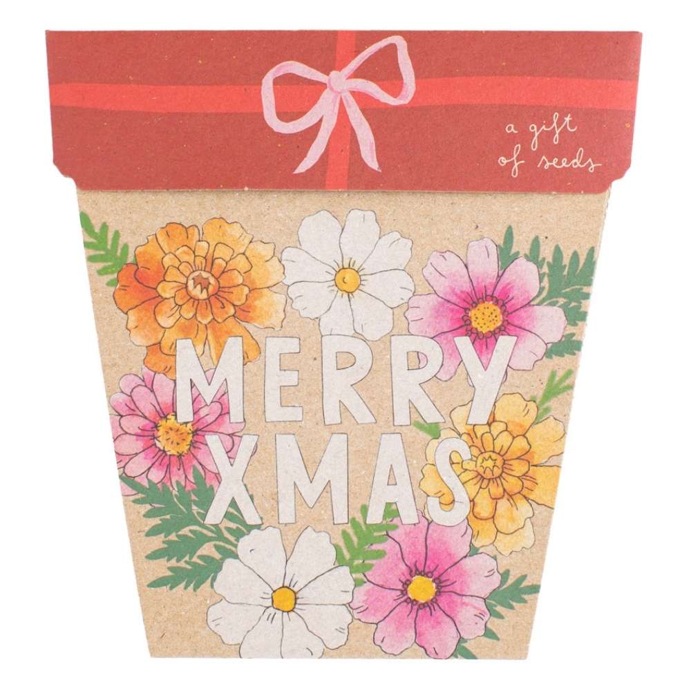 Xmas Blooms Gift of Seeds