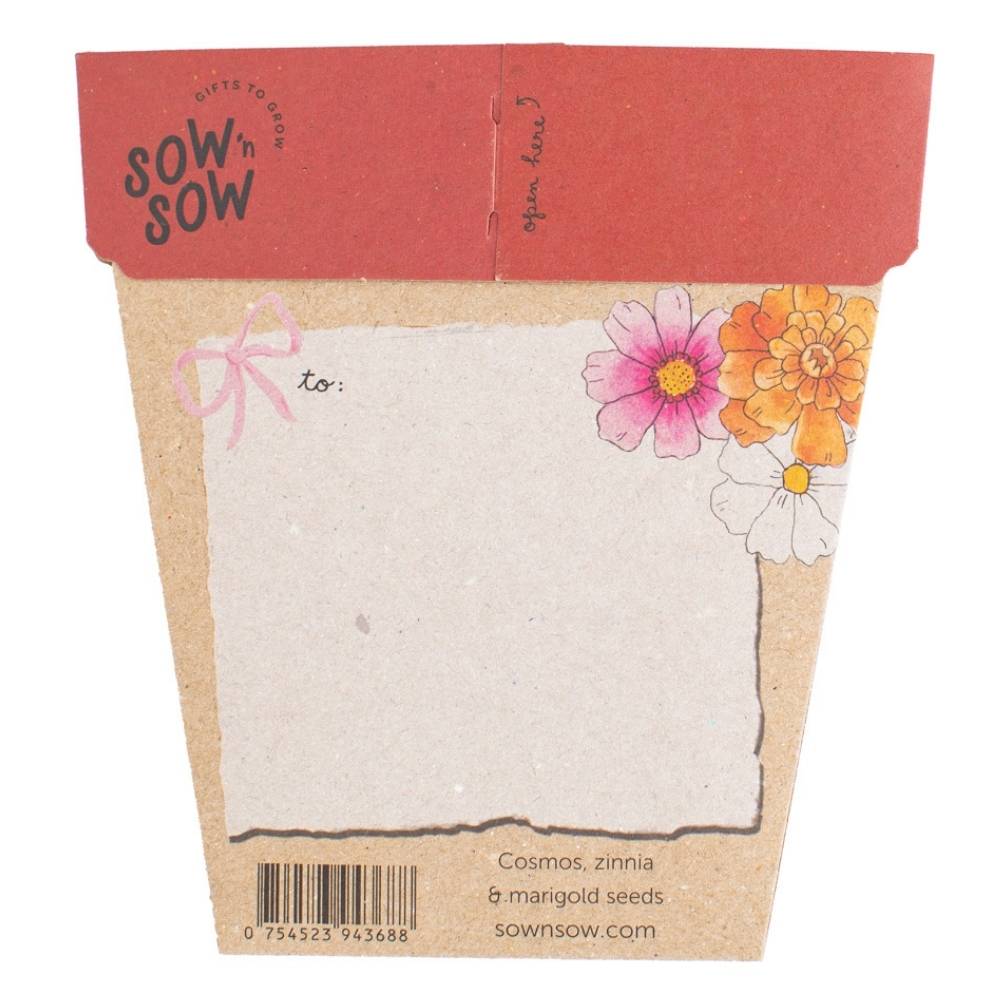 Xmas Blooms Gift of Seeds