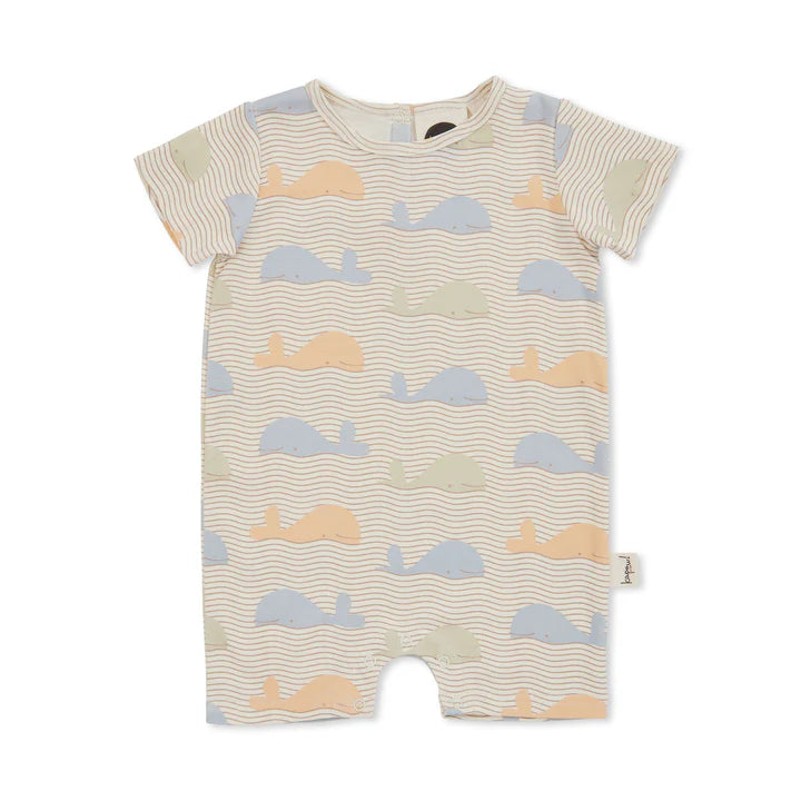 Save the Whales Shortall