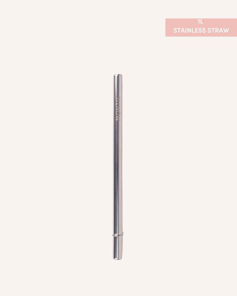 Smoothie Stainless Straw -1L