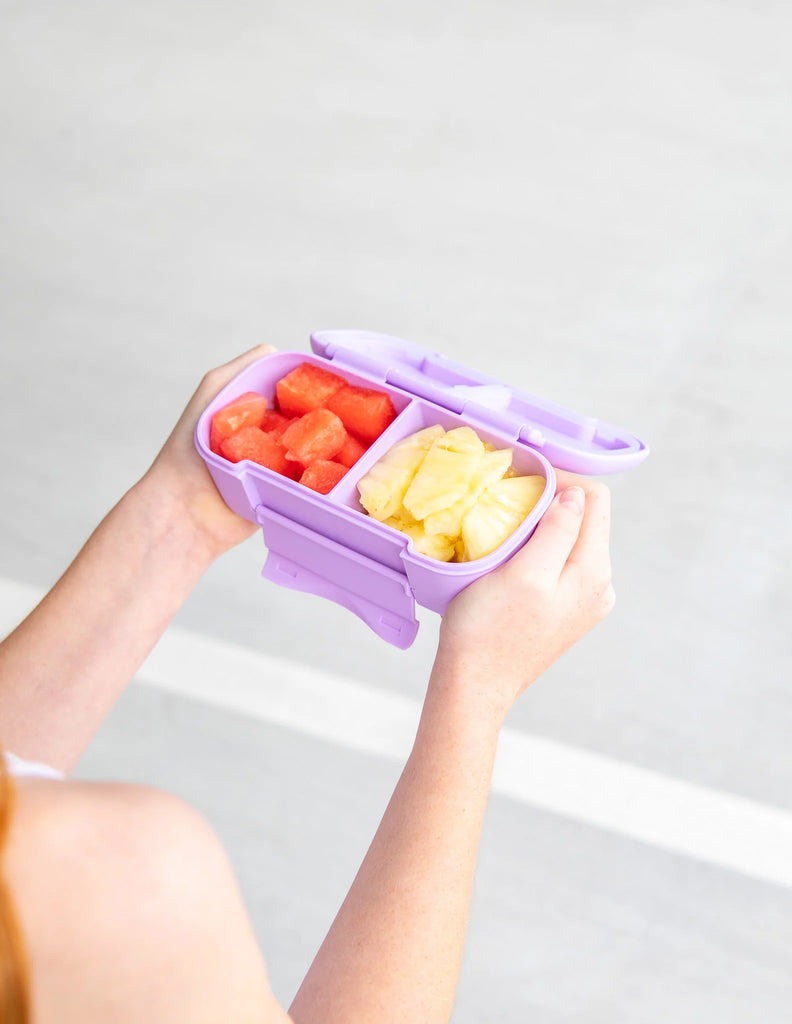 Snack Lunch Box - Lilac