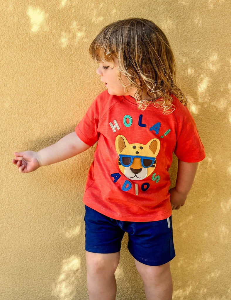 Navy Casual Shorts