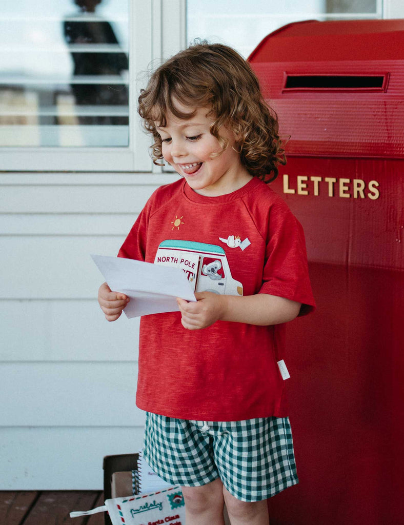 Festive Gingham Shorts