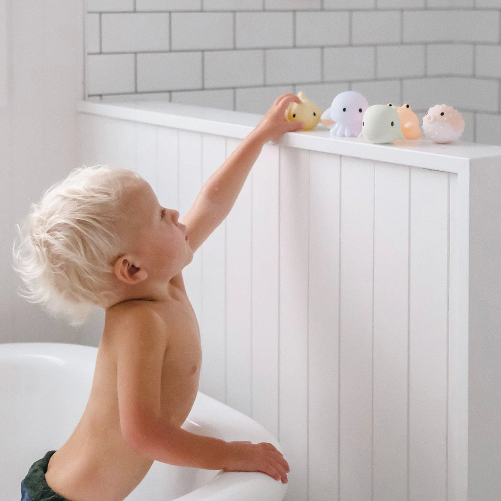 Sea Animal Splash Bath Toys
