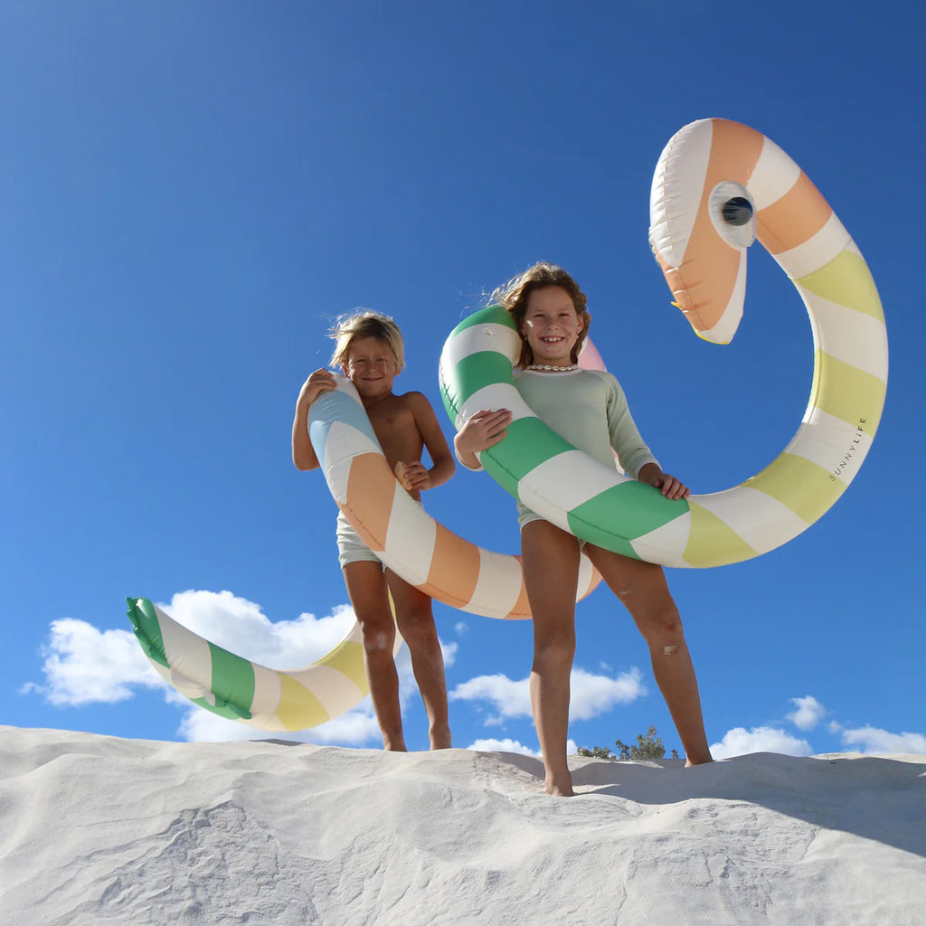 Giant Inflatable Noodle - Poolside Sorbet Stripe