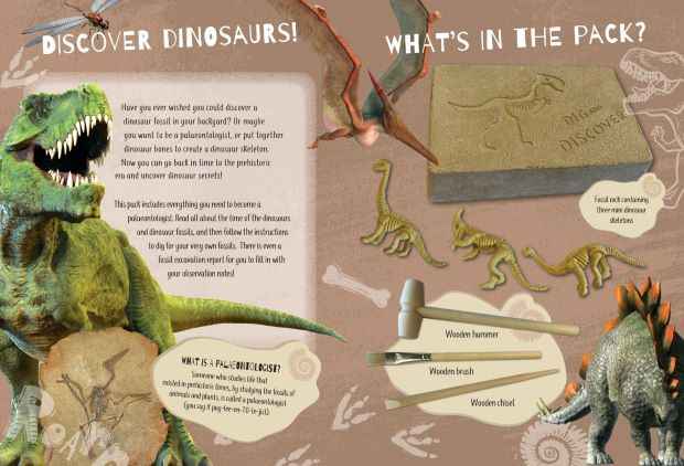 Dino Dig Book and Kit