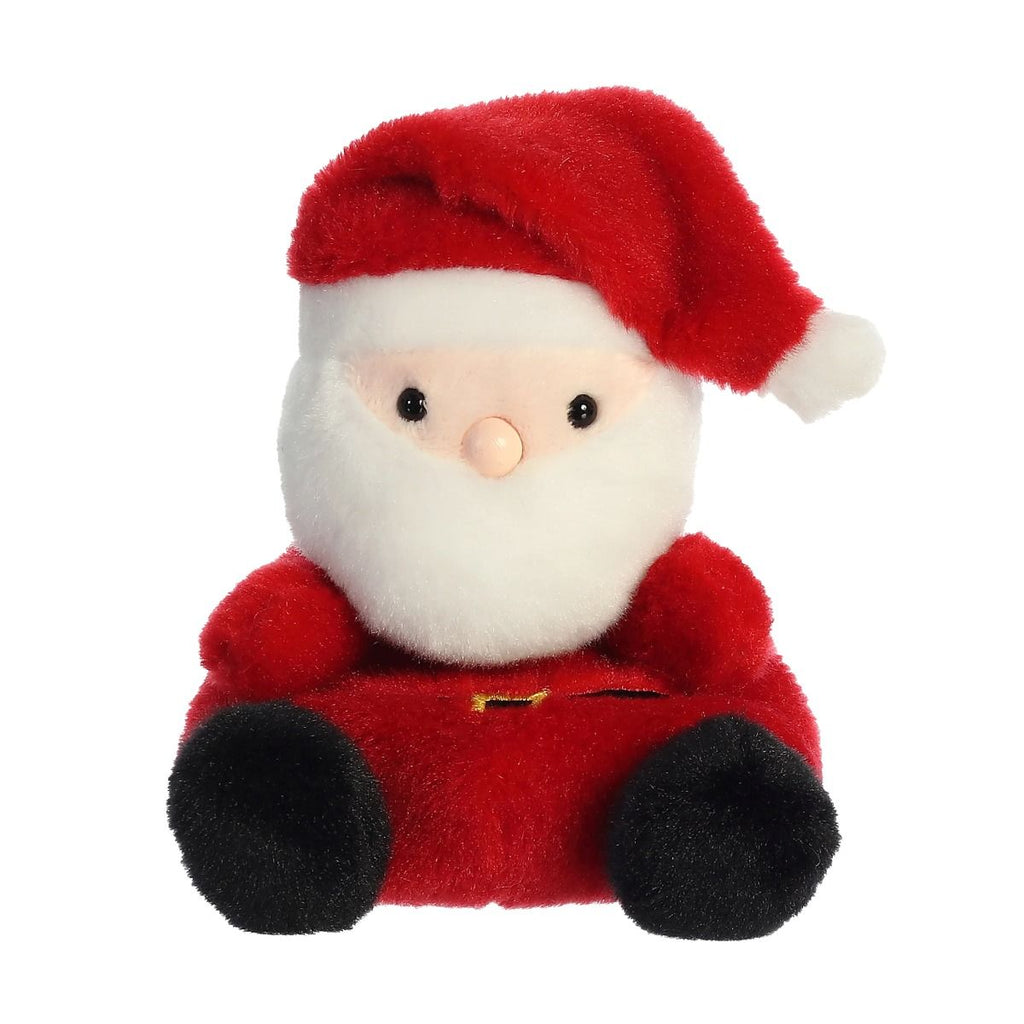 Santa Claus Palm Pal