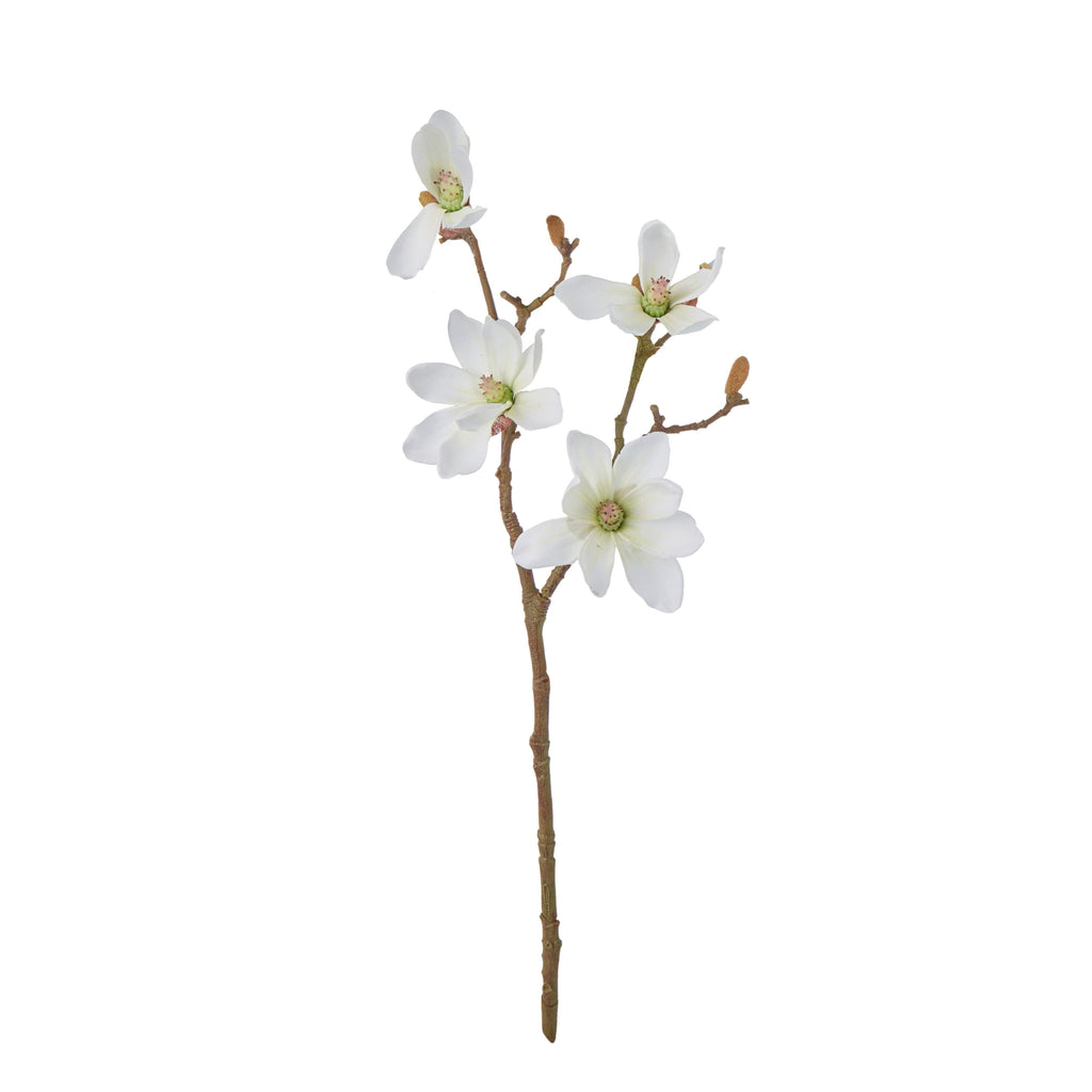 Mini Magnolia Stem - 46cm tall