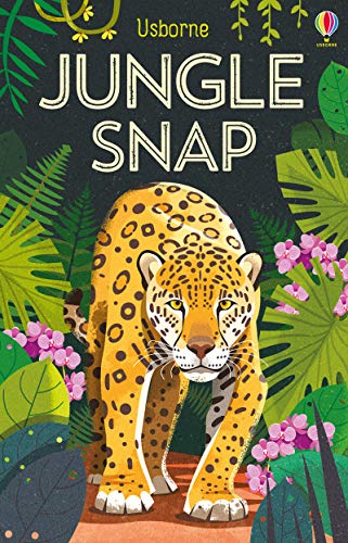 Snap Cards - Jungle