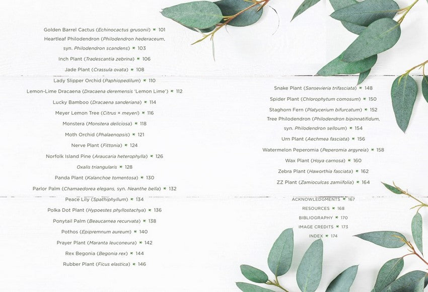 How to House-Plant