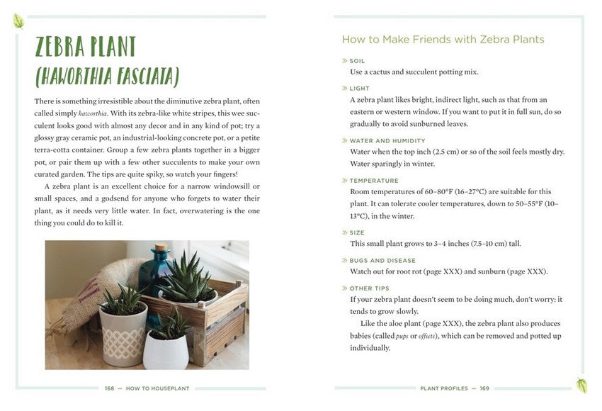 How to House-Plant
