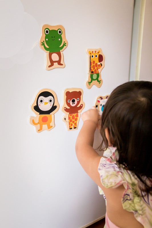 Wooden Magnetic Jungle Set