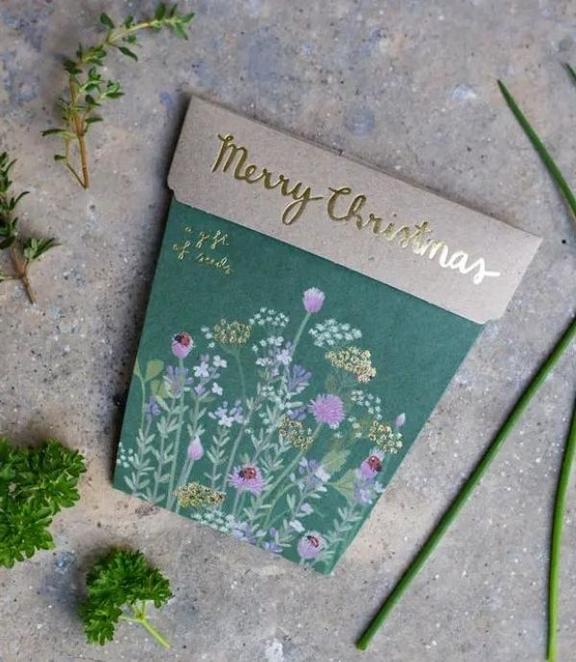 Merry Christmas (Herb) Gift of Seeds
